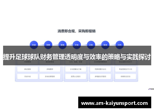 提升足球球队财务管理透明度与效率的策略与实践探讨 提升足球球队财务管理透明度与效率的策略与实践探讨