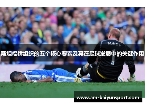 斯坦福桥组织的五个核心要素及其在足球发展中的关键作用 斯坦福桥组织的五个核心要素及其在足球发展中的关键作用